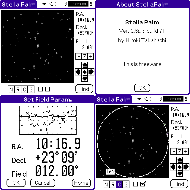 Stella Palm